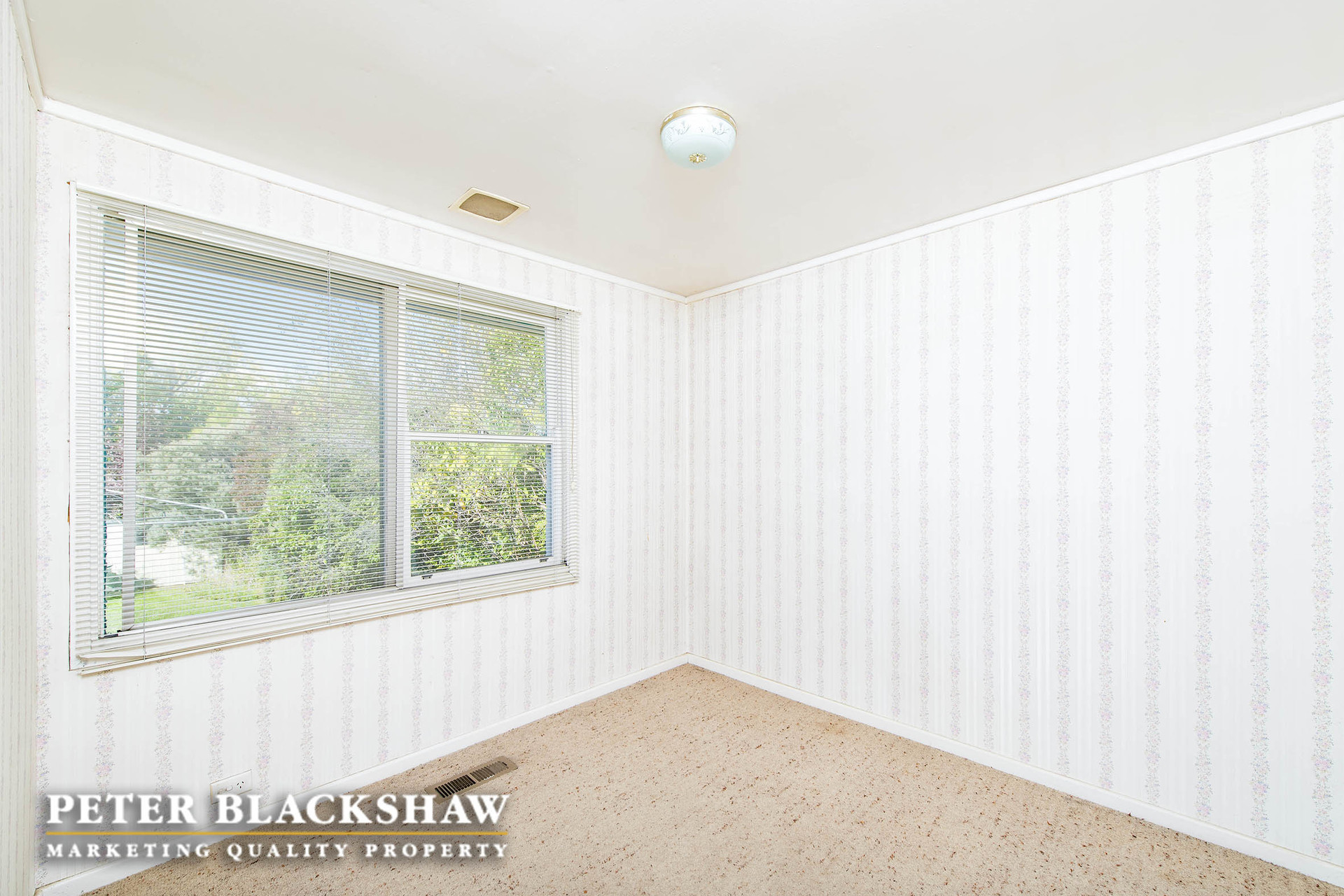 22 Collier Street, CURTIN ACT 2605, Curtin - Thumbnail 7