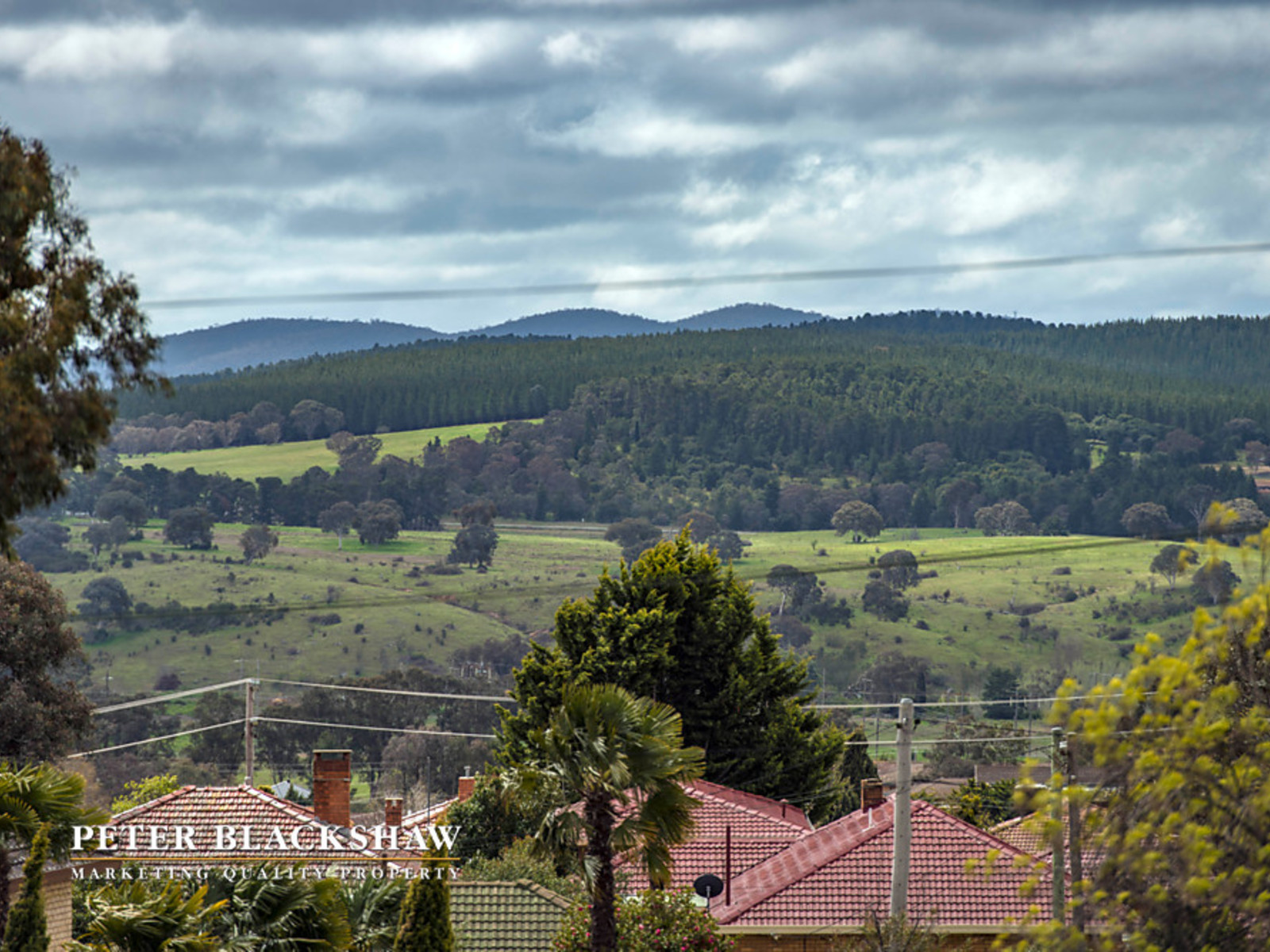 86 Crest Road, CRESTWOOD NSW 2620, Crestwood - Thumbnail 8