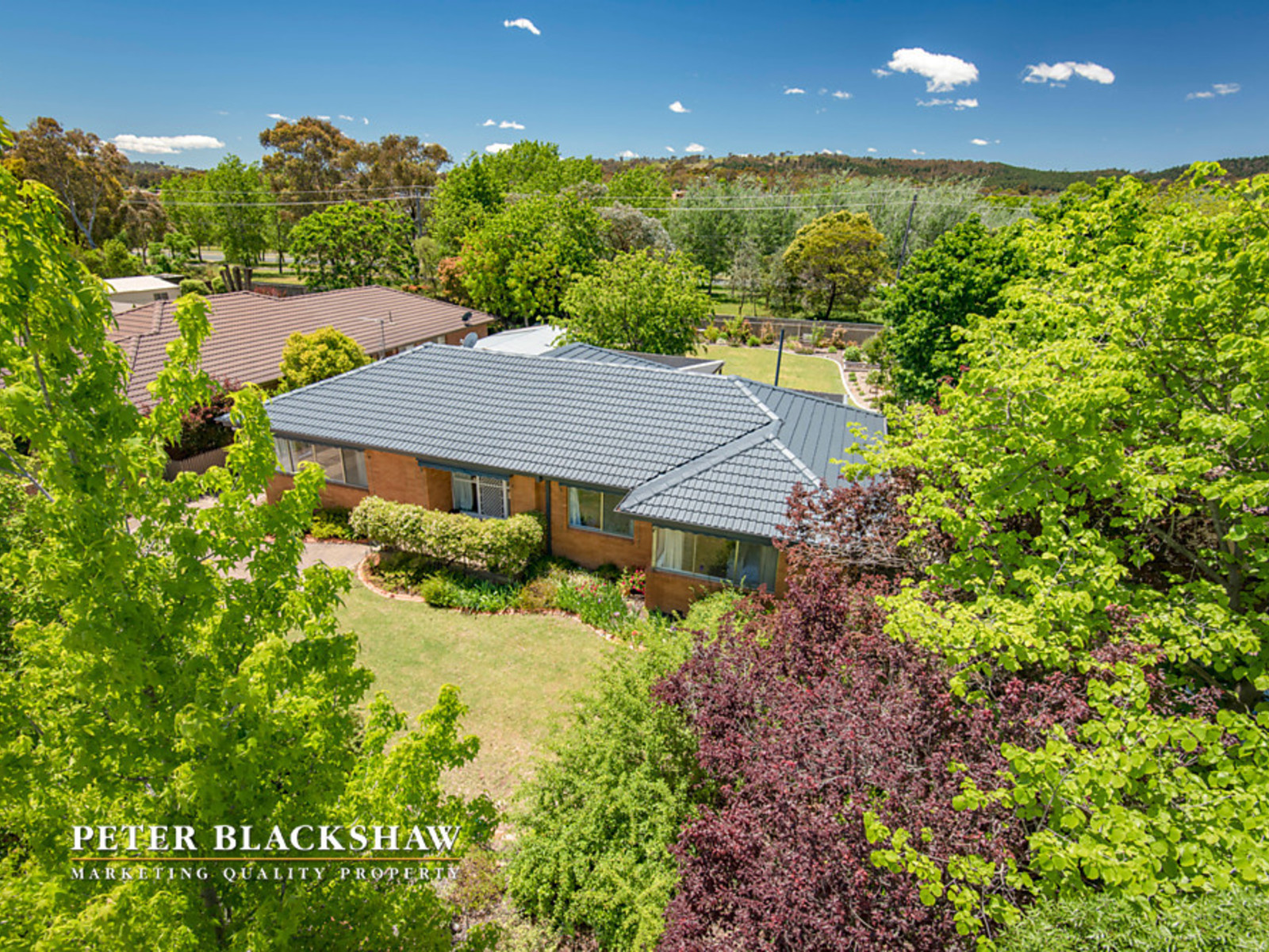 43 Batchelor Street, TORRENS ACT 2607, Torrens - Thumbnail 2