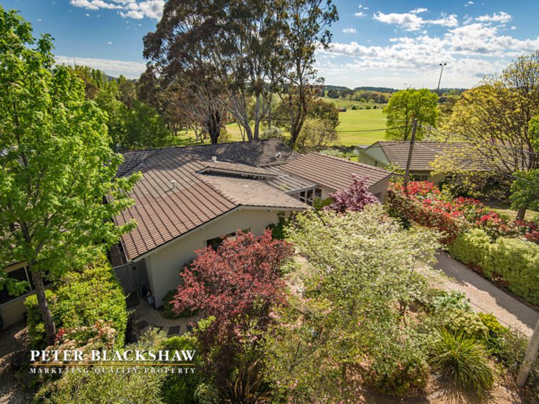 Preview image for Buy