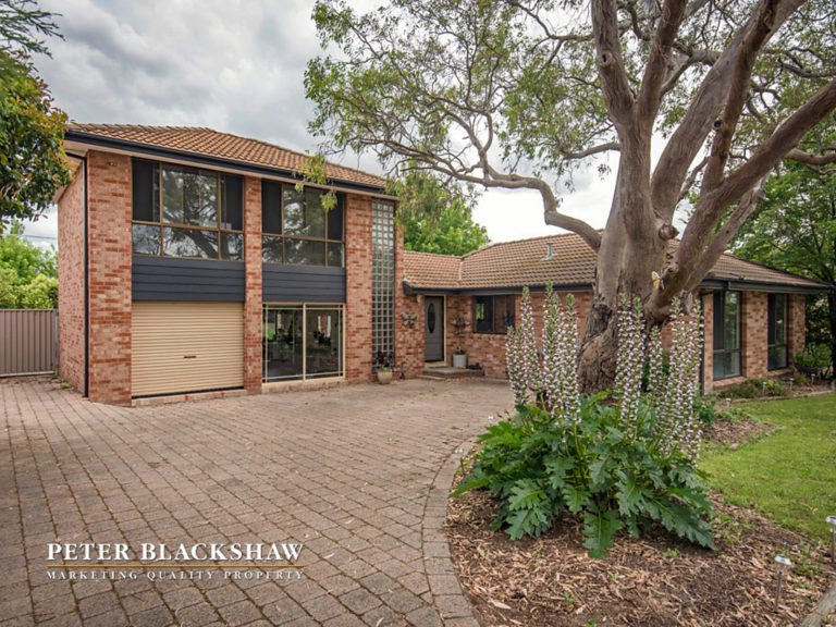 Preview image for Buy