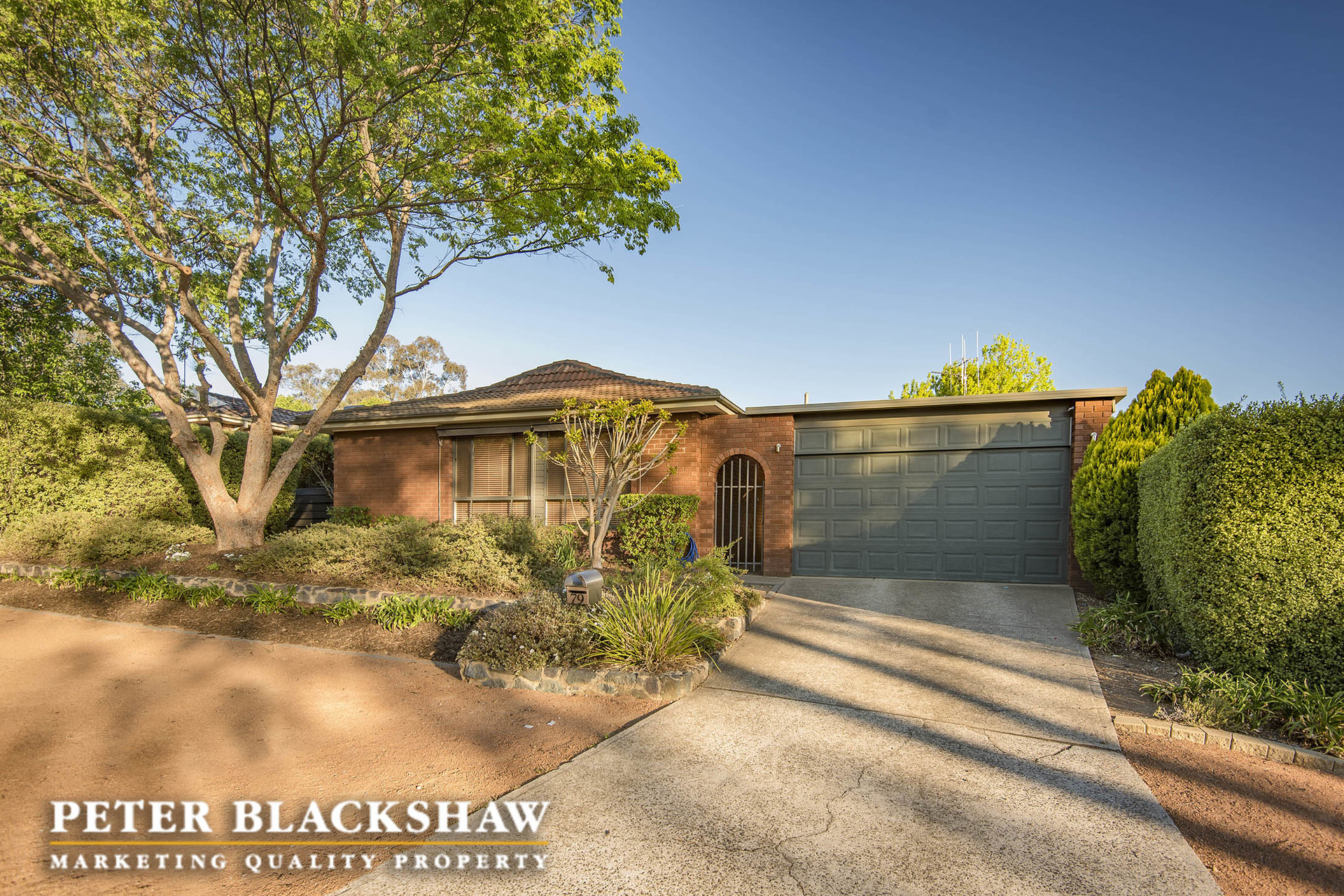 79 Buvelot Street, WESTON ACT 2611, Weston - Thumbnail 2