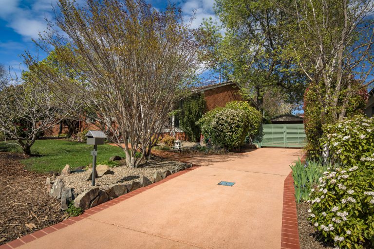 Preview image for Buy