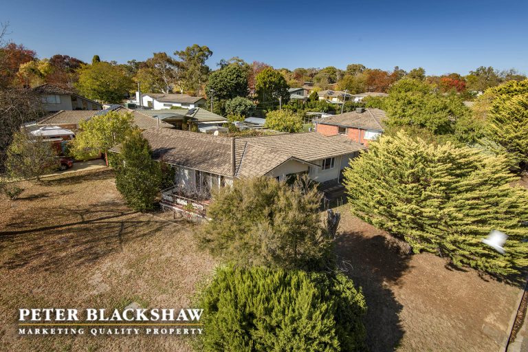 Preview image for Buy