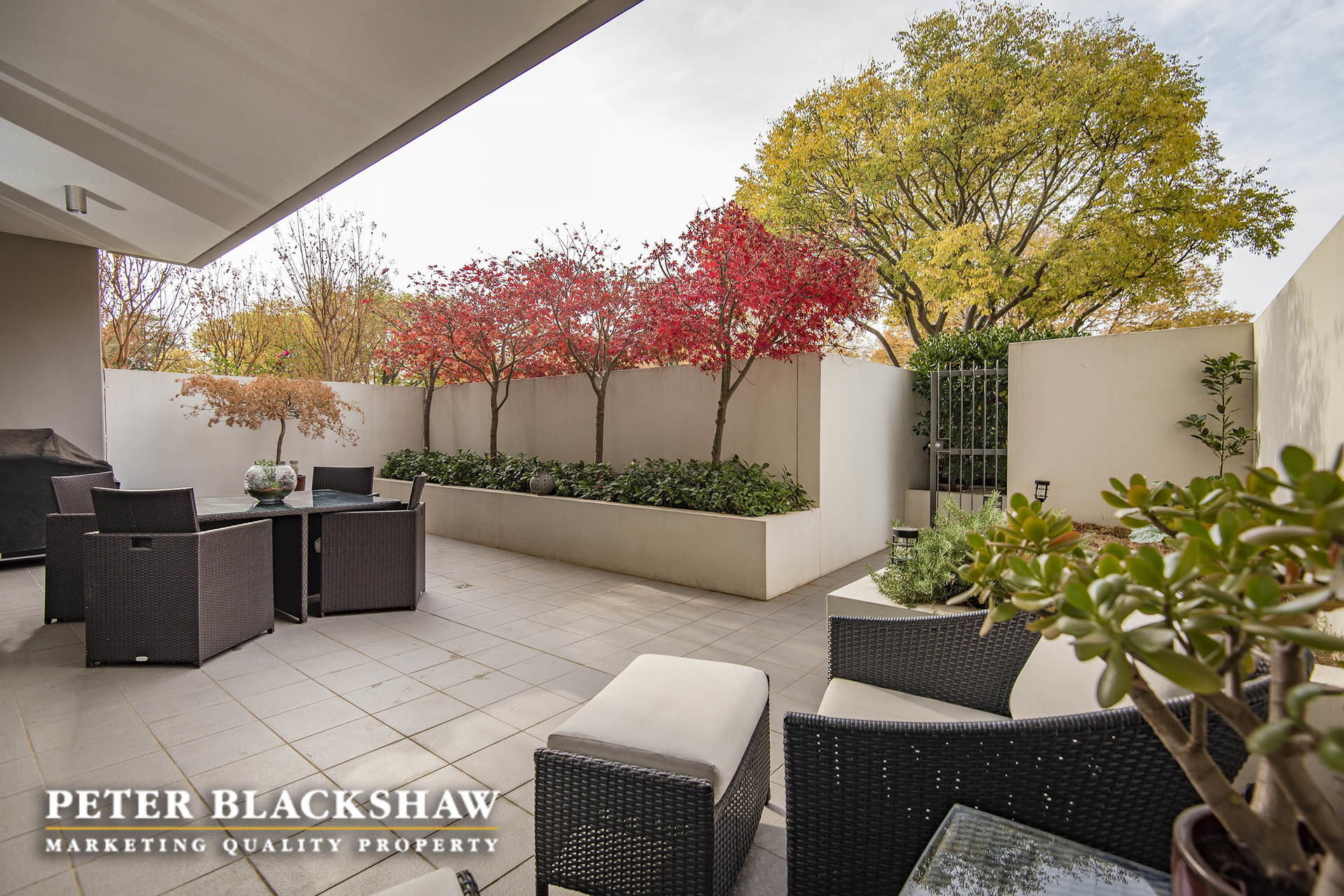 3/21 Dawes Street, KINGSTON ACT 2604, Kingston - Thumbnail 3