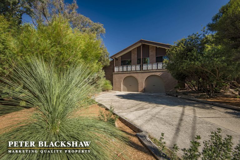 Preview image for Buy