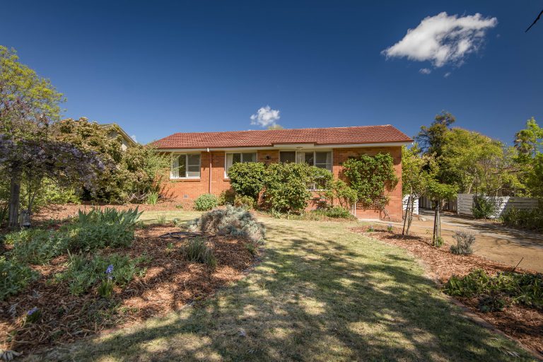 Preview image for Buy