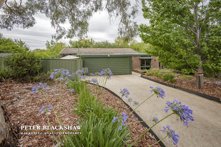 Preview image for Buy