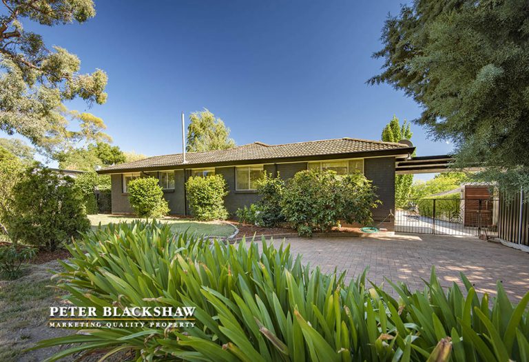 Preview image for Buy