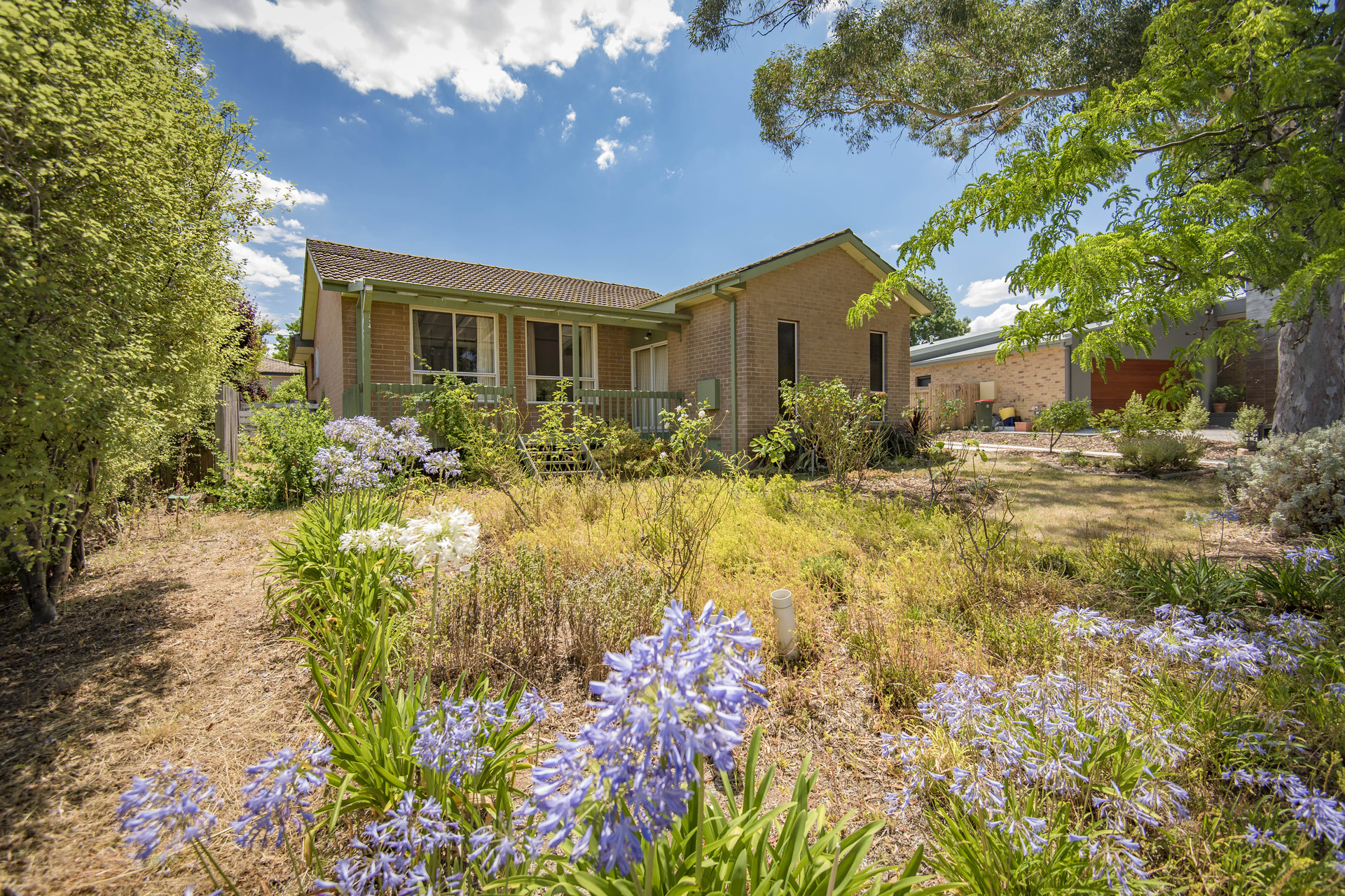 29 Collier Street, CURTIN ACT 2605, Curtin - Thumbnail 2