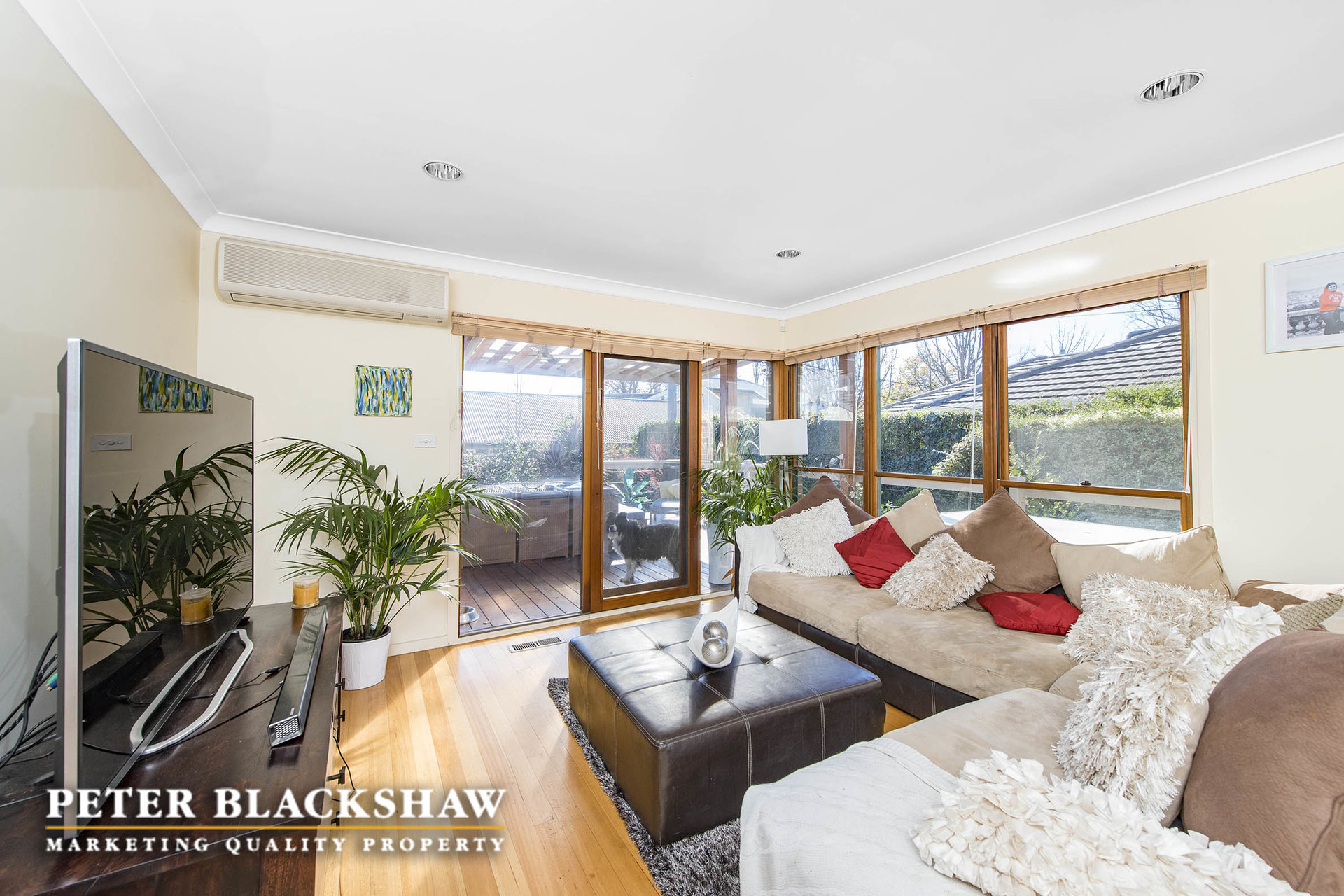 41 Macgregor Street, DEAKIN ACT 2600, Deakin - Thumbnail 5