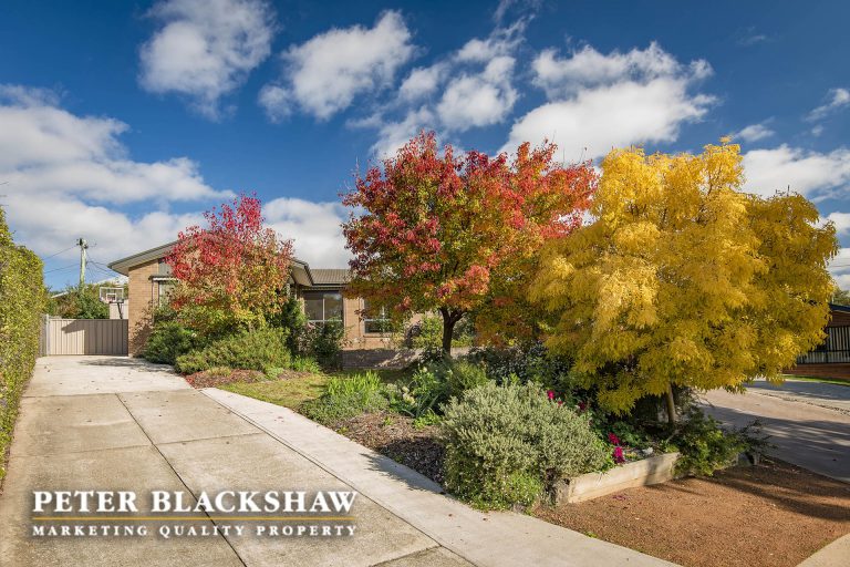 Preview image for Buy