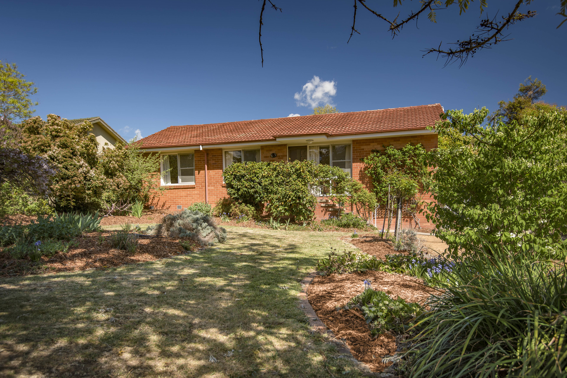 41 Medley Street, CHIFLEY ACT 2606, Chifley - Thumbnail 2