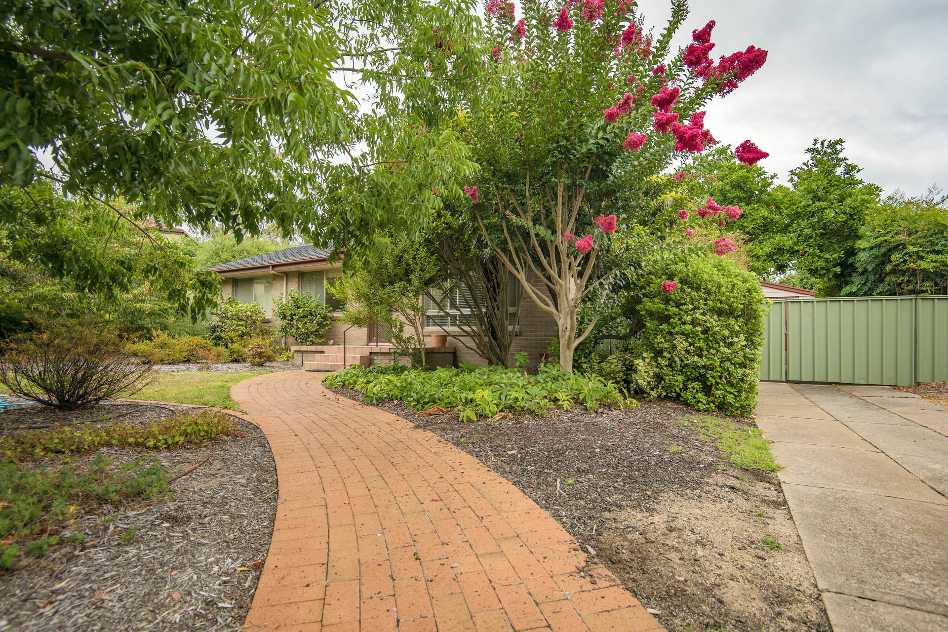 3 Ellis Street, COOK ACT 2614, Cook - Thumbnail 3