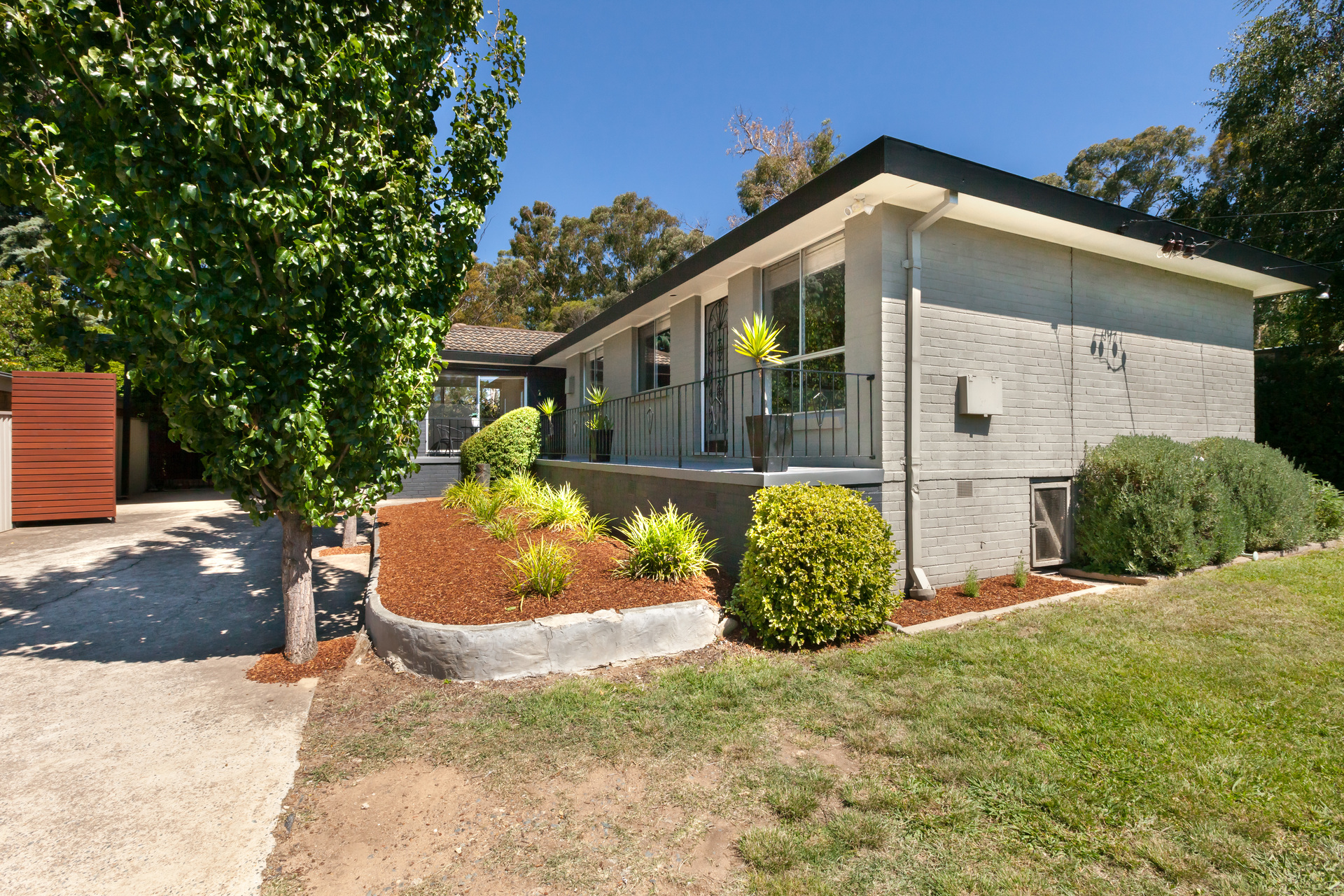 29 Morehead Street, CURTIN ACT 2605, Curtin - Thumbnail 4