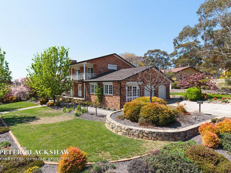 Preview image for Buy