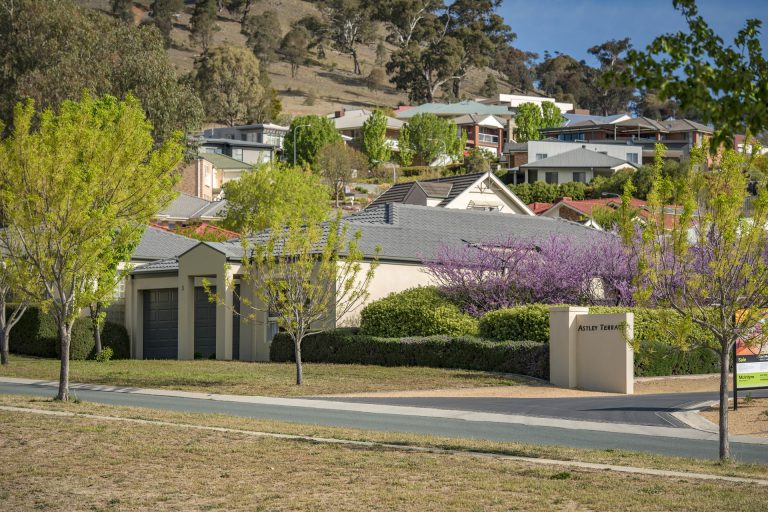 Preview image for Buy