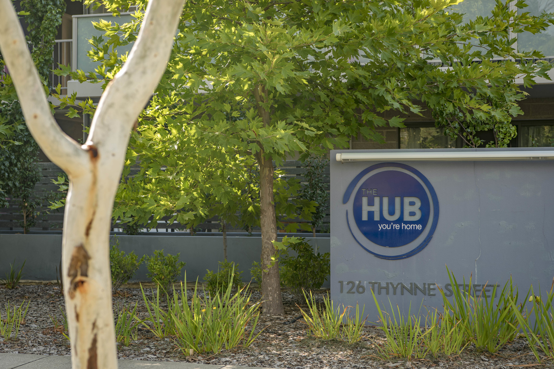 14/126 Thynne Street, BRUCE ACT 2617, Bruce - Thumbnail 5