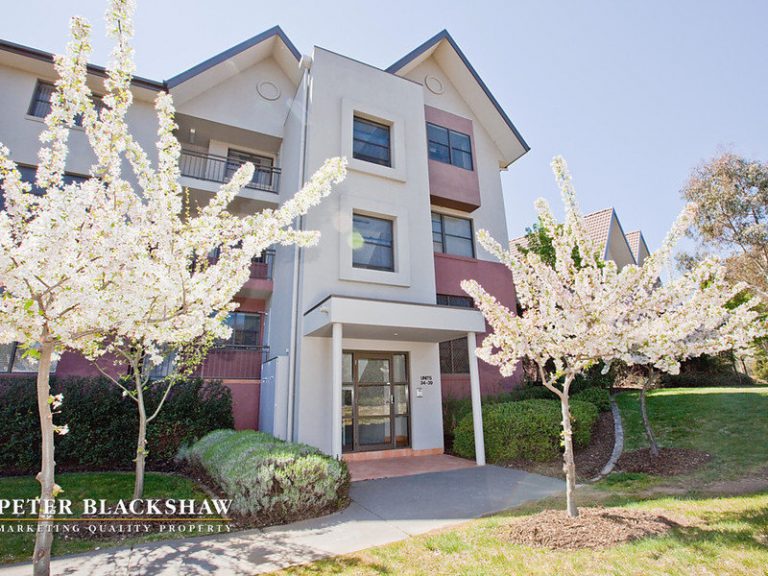 Preview image for Buy