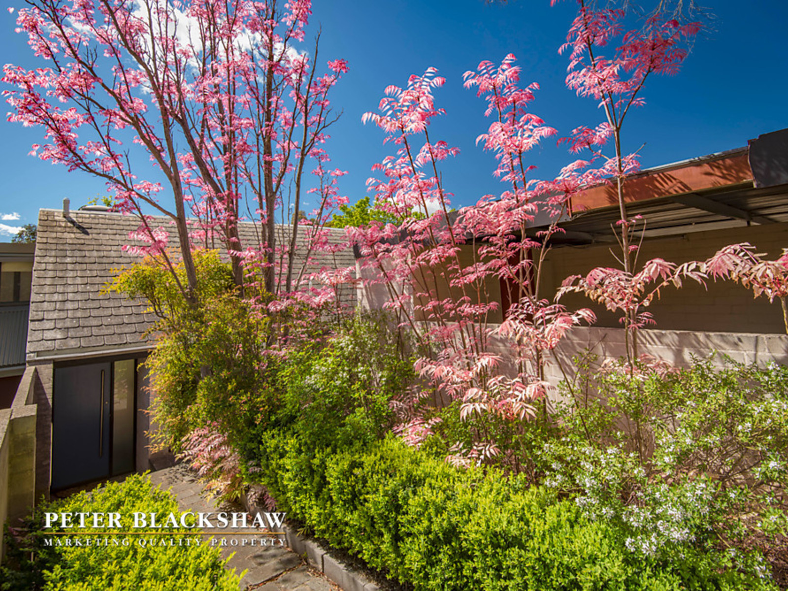 63 Maclachlan Street, HOLDER ACT 2611, Holder - Thumbnail 2