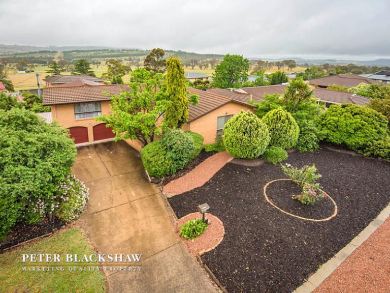 Preview image for Buy