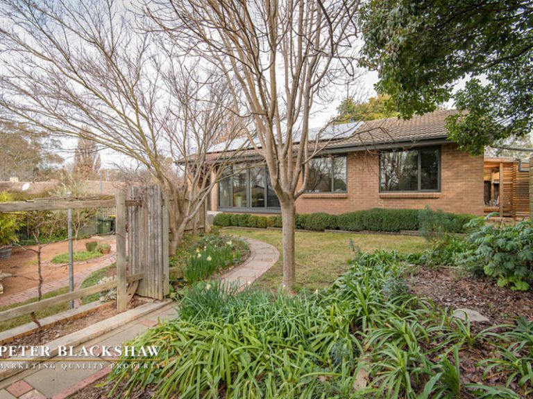 Preview image for Buy