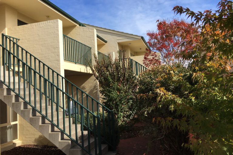 Preview image for Buy