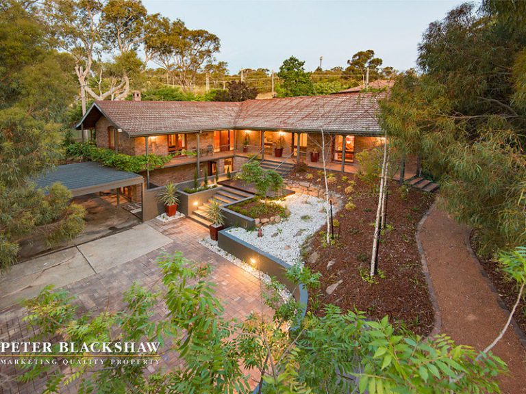 Preview image for Buy