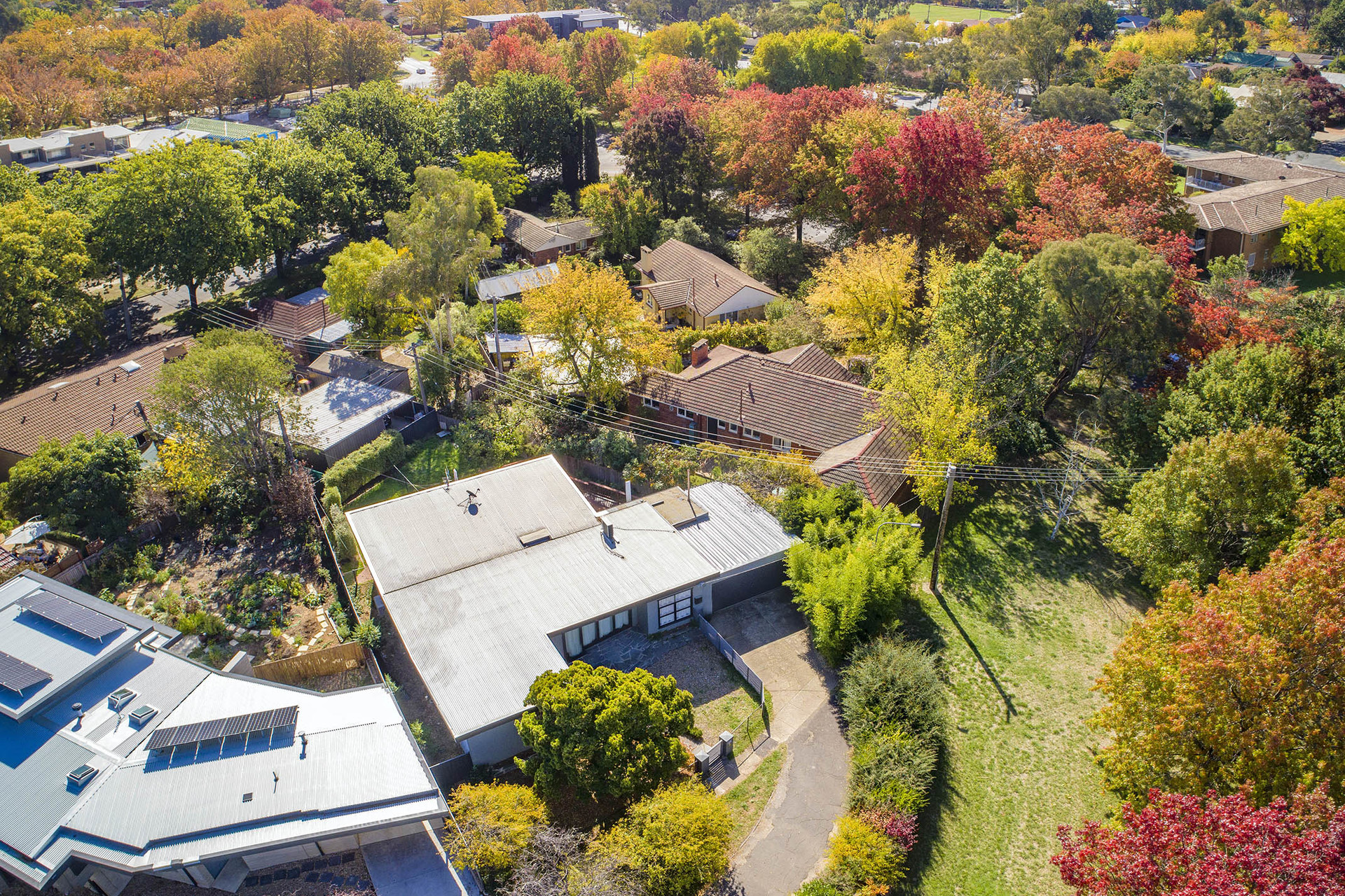 5 Bareena Street, NARRABUNDAH ACT 2604, Narrabundah - Thumbnail 3