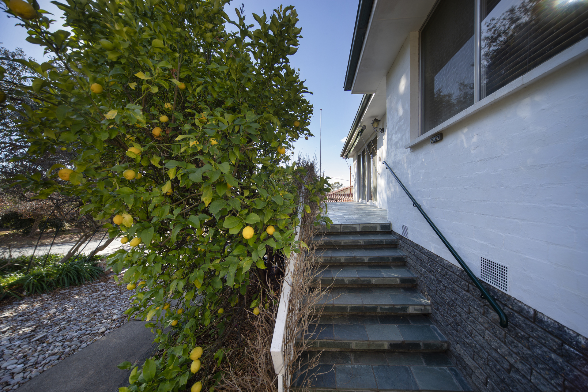 8 Coleman Street, PEARCE ACT 2607, Pearce - Thumbnail 3