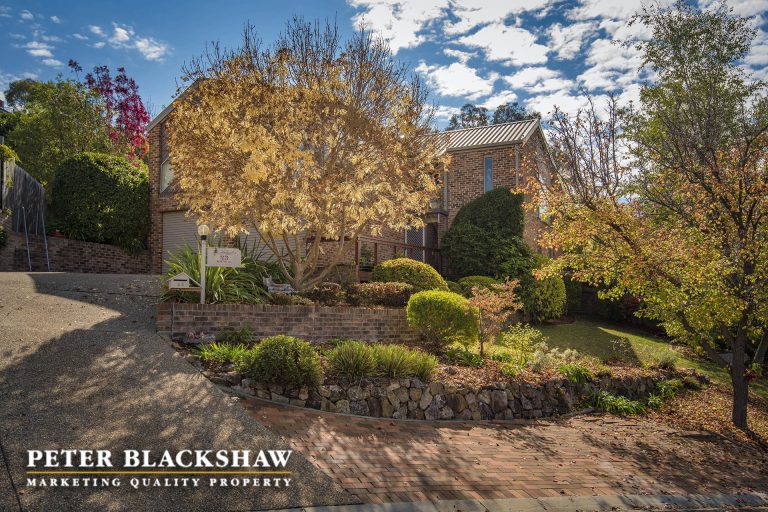 Preview image for Buy