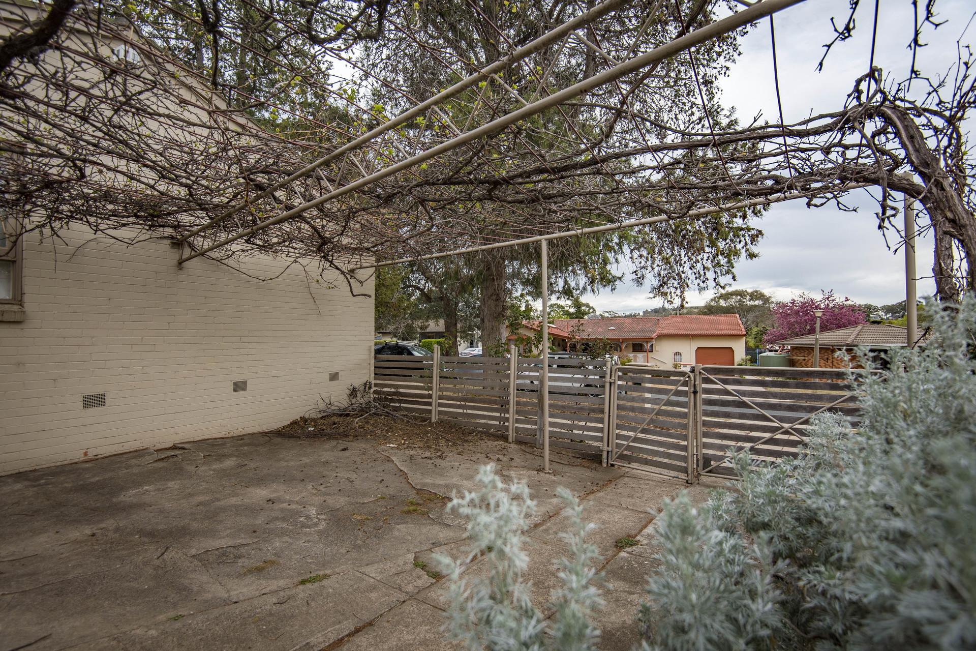 3 Bosch Place, CHIFLEY ACT 2606, Chifley - Thumbnail 2