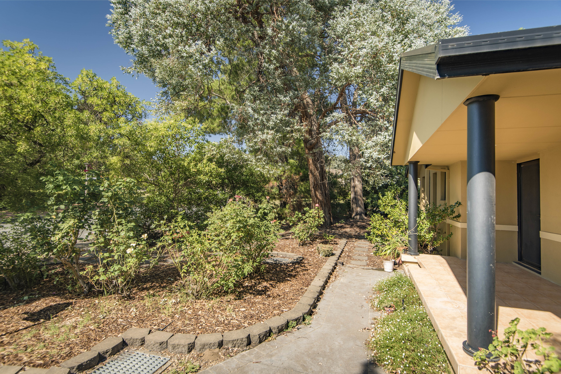 51 Throssell Street, CURTIN ACT 2605, Curtin - Thumbnail 6