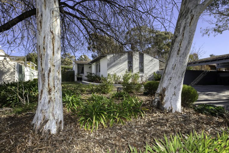 Preview image for Buy