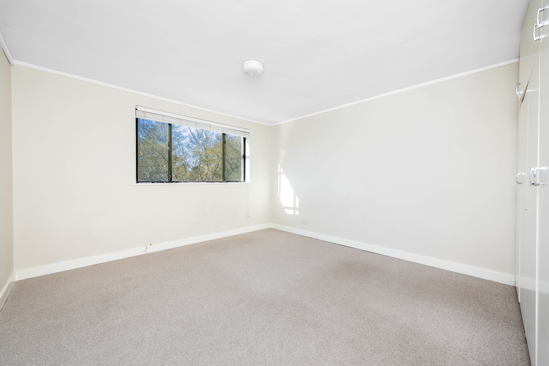 3/3 Nuyts Street, RED HILL ACT 2603, Red Hill - Thumbnail 4