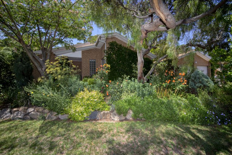 Preview image for Buy