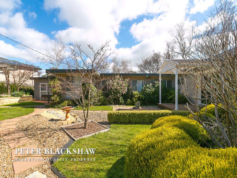 Preview image for Buy