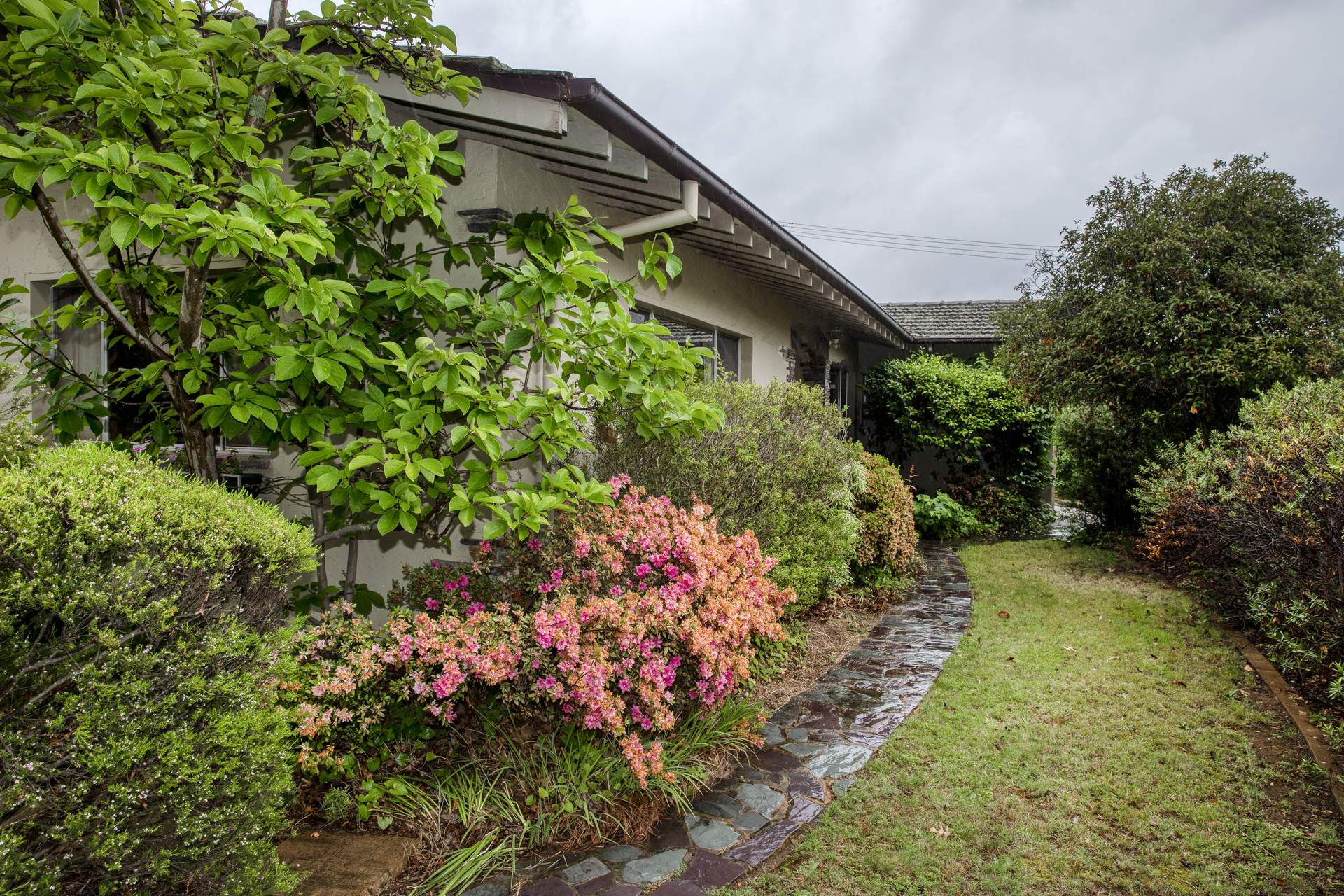 93 Schlich Street, YARRALUMLA ACT 2600, Yarralumla - Thumbnail 7