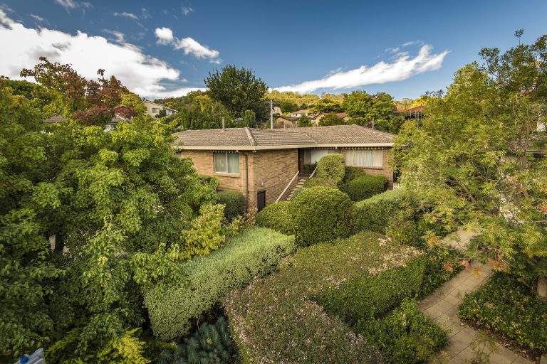 Preview image for Buy