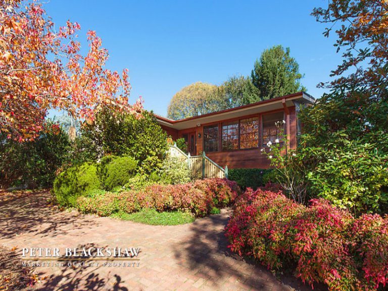 Preview image for Buy