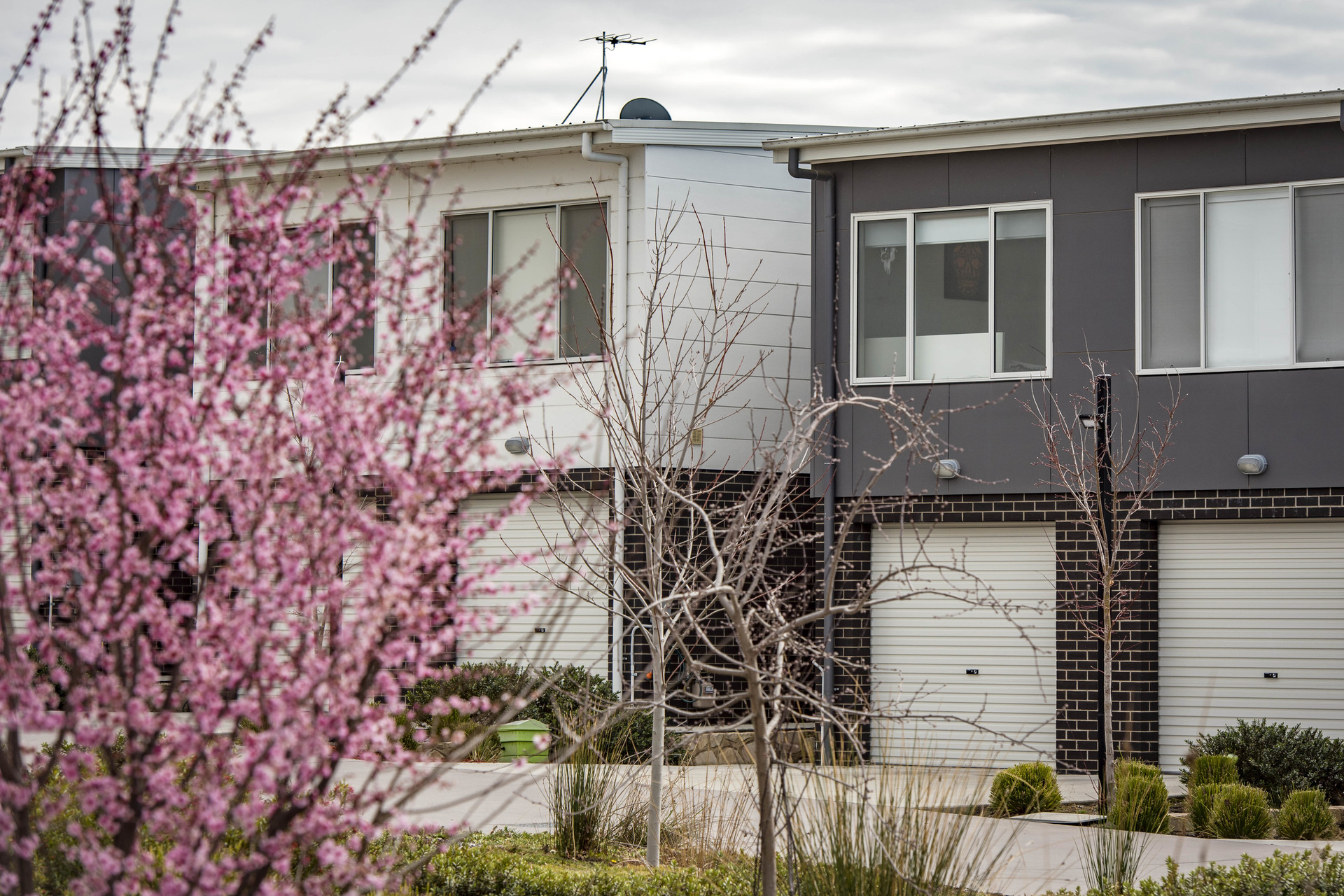 5/41 Pearlman Street, COOMBS ACT 2611, Coombs - Thumbnail 3