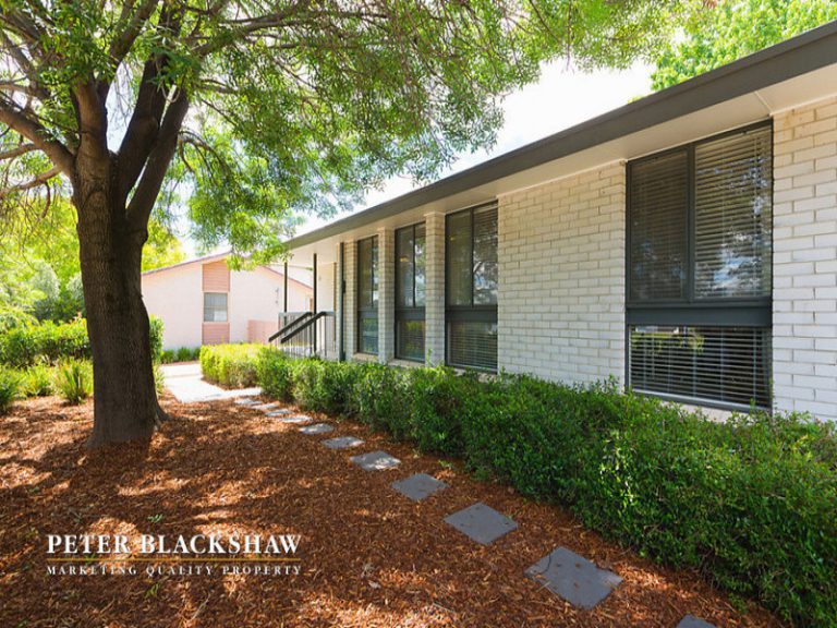 Preview image for Buy