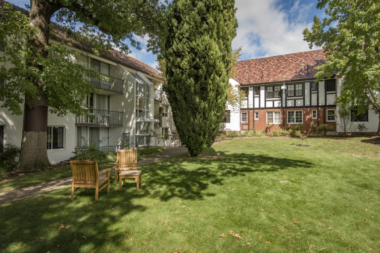 Preview image for Buy