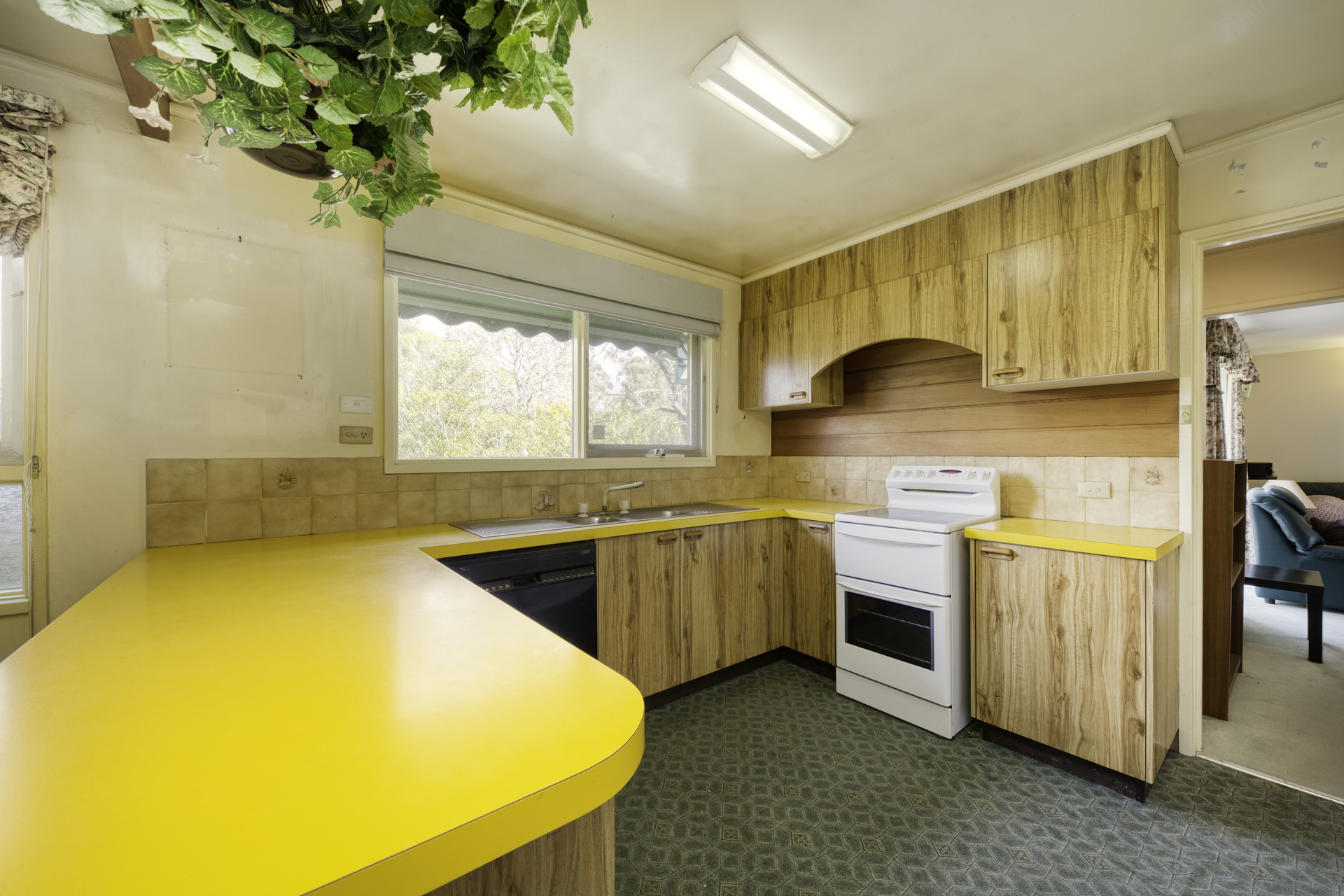 16 McLean Place, CURTIN ACT 2605, Curtin - Thumbnail 4