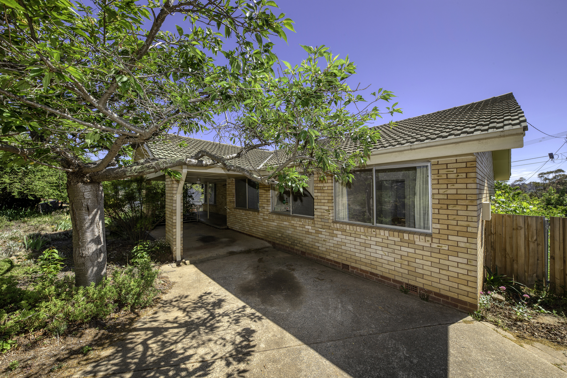 13 Haines Street, CURTIN ACT 2605, Curtin - Thumbnail 2