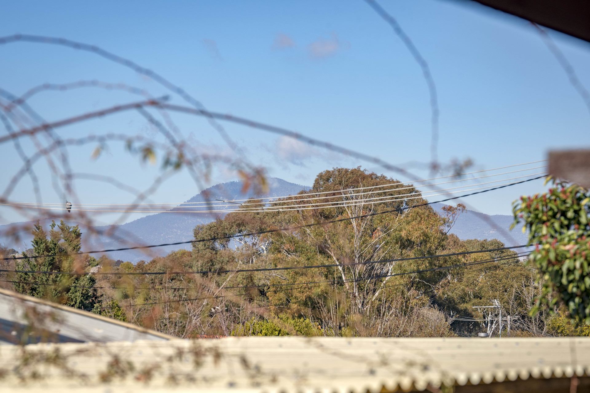 2 Oldfield Circuit, KAMBAH ACT 2902, Kambah - Thumbnail 4
