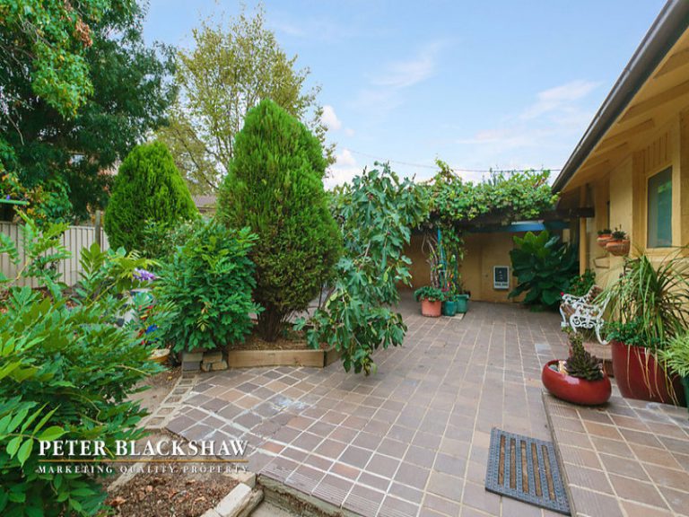 Preview image for Buy