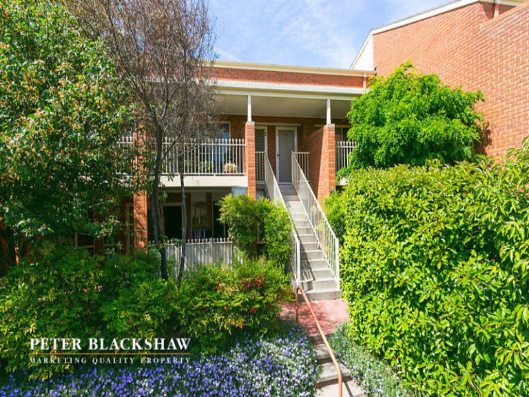 Preview image for Buy