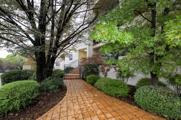 Preview image for Buy