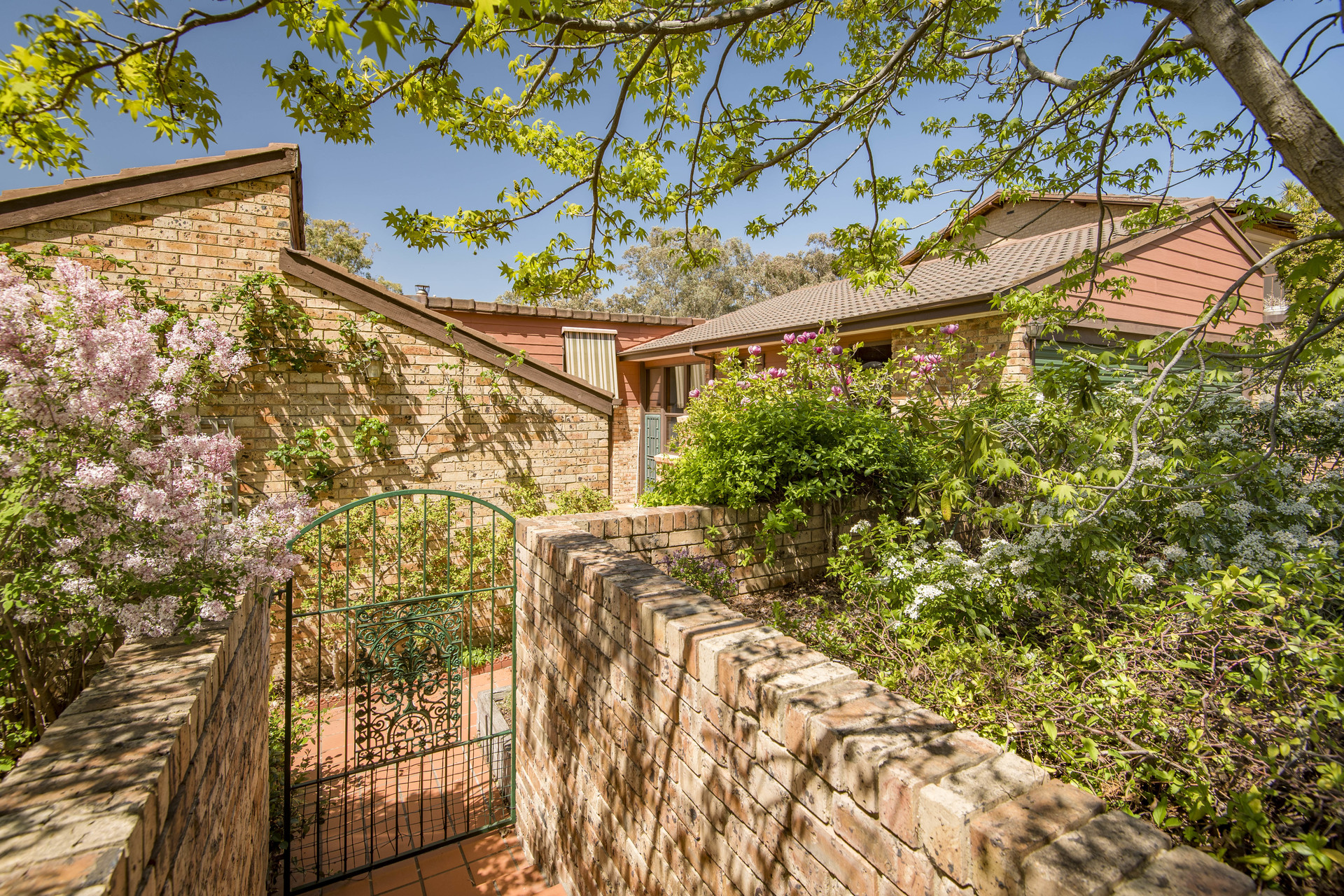 48 Drevermann Street, FARRER ACT 2607, Farrer - Thumbnail 3